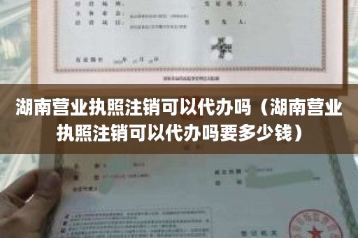 湖南营业执照注销可以代办吗（湖南营业执照注销可以代办吗要多少钱）