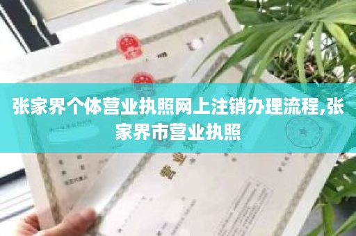 张家界个体营业执照网上注销办理流程,张家界市营业执照