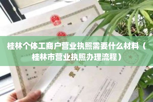 桂林个体工商户营业执照需要什么材料（桂林市营业执照办理流程）