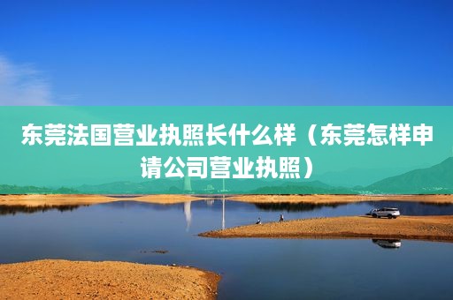 东莞法国营业执照长什么样（东莞怎样申请公司营业执照）