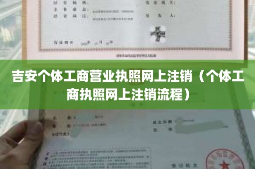 吉安个体工商营业执照网上注销（个体工商执照网上注销流程）