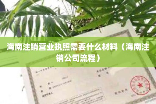 海南注销营业执照需要什么材料（海南注销公司流程）