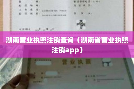 湖南营业执照注销查询（湖南省营业执照注销app）