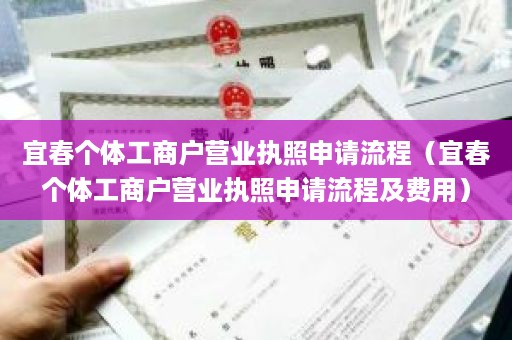 宜春个体工商户营业执照申请流程（宜春个体工商户营业执照申请流程及费用）