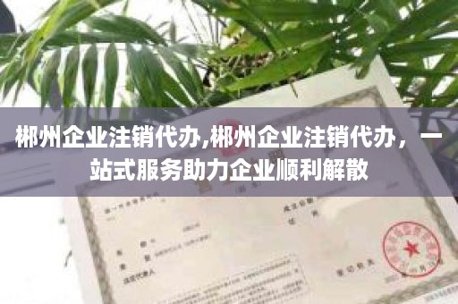 郴州企业注销代办,郴州企业注销代办，一站式服务助力企业顺利解散