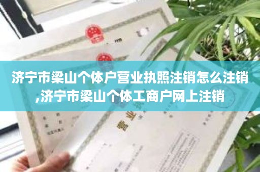 济宁市梁山个体户营业执照注销怎么注销,济宁市梁山个体工商户网上注销