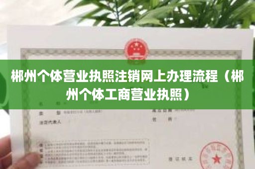 郴州个体营业执照注销网上办理流程（郴州个体工商营业执照）