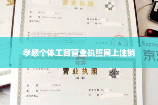 孝感个体工商营业执照网上注销