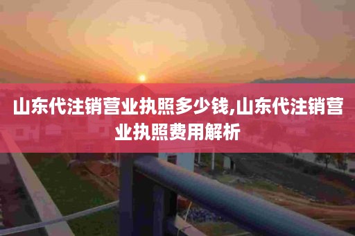 山东代注销营业执照多少钱,山东代注销营业执照费用解析