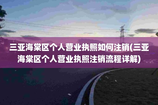 三亚海棠区个人营业执照如何注销(三亚海棠区个人营业执照注销流程详解)