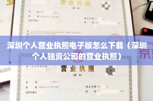 深圳个人营业执照电子版怎么下载（深圳个人独资公司的营业执照）