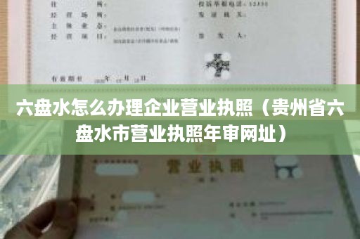 六盘水怎么办理企业营业执照（贵州省六盘水市营业执照年审网址）