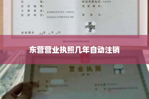 东营营业执照几年自动注销