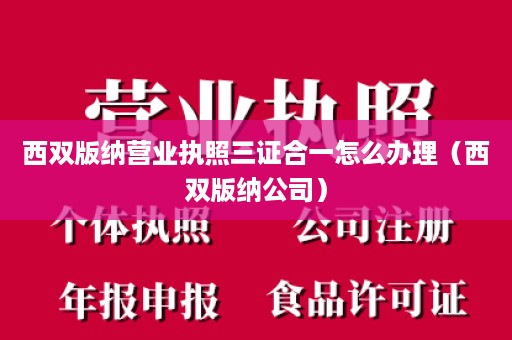 西双版纳营业执照三证合一怎么办理（西双版纳公司）