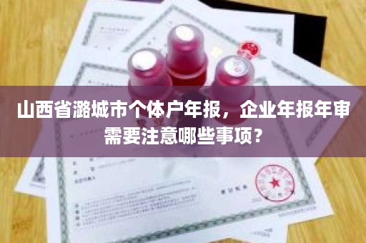 山西省潞城市个体户年报，企业年报年审需要注意哪些事项？