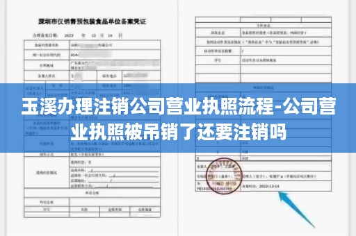 玉溪办理注销公司营业执照流程-公司营业执照被吊销了还要注销吗