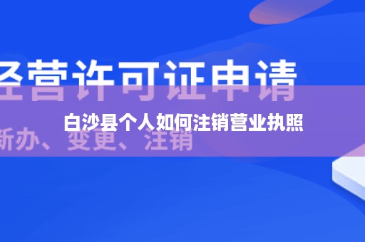 白沙县个人如何注销营业执照