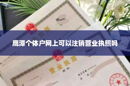 鹰潭个体户网上可以注销营业执照吗