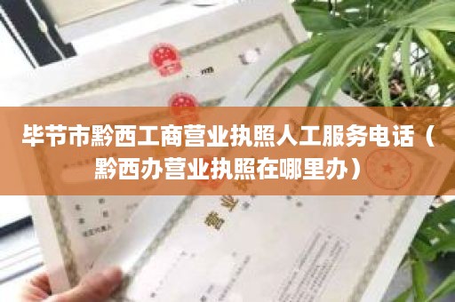 毕节市黔西工商营业执照人工服务电话（黔西办营业执照在哪里办）