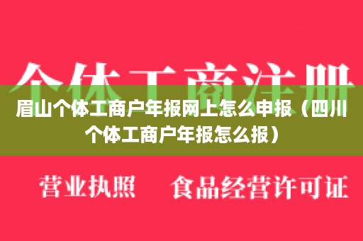 眉山个体工商户年报网上怎么申报（四川个体工商户年报怎么报）