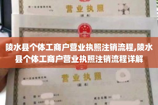 陵水县个体工商户营业执照注销流程,陵水县个体工商户营业执照注销流程详解