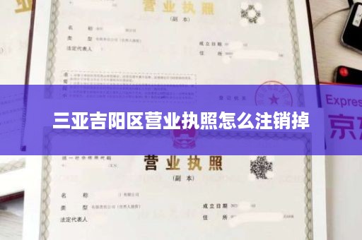 三亚吉阳区营业执照怎么注销掉