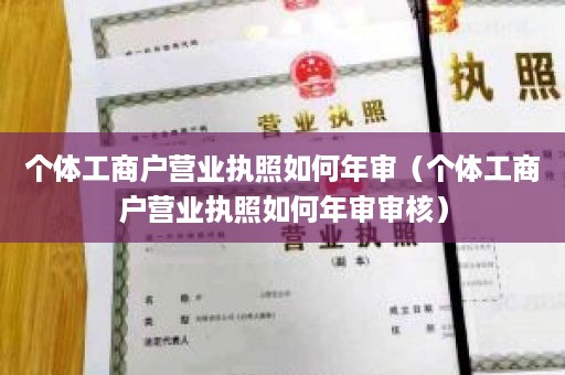 个体工商户营业执照如何年审（个体工商户营业执照如何年审审核）