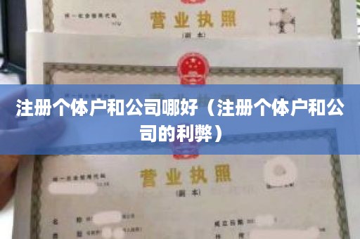 注册个体户和公司哪好（注册个体户和公司的利弊）