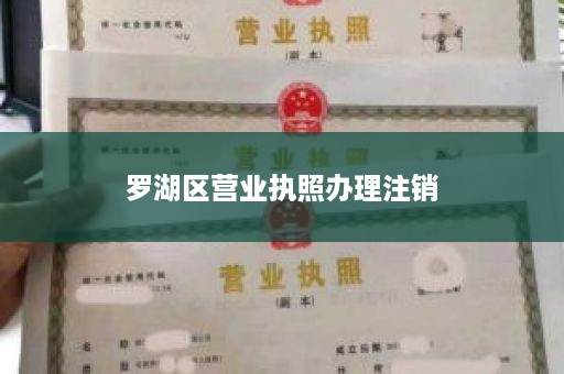 罗湖区营业执照办理注销