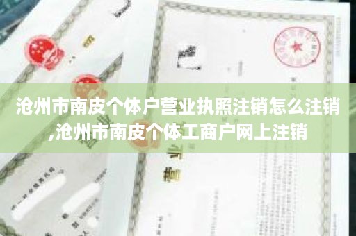 沧州市南皮个体户营业执照注销怎么注销,沧州市南皮个体工商户网上注销