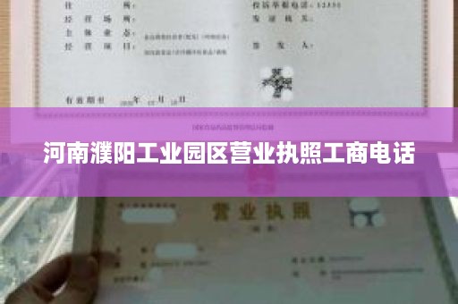 河南濮阳工业园区营业执照工商电话