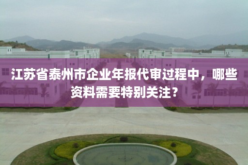 江苏省泰州市企业年报代审过程中，哪些资料需要特别关注？