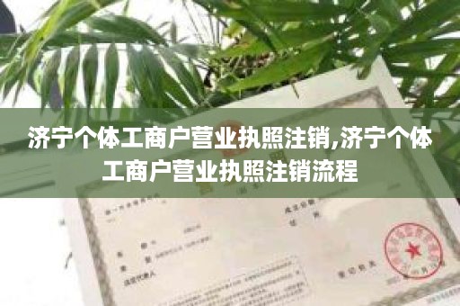 济宁个体工商户营业执照注销,济宁个体工商户营业执照注销流程