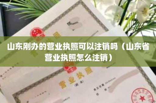 山东刚办的营业执照可以注销吗（山东省营业执照怎么注销）