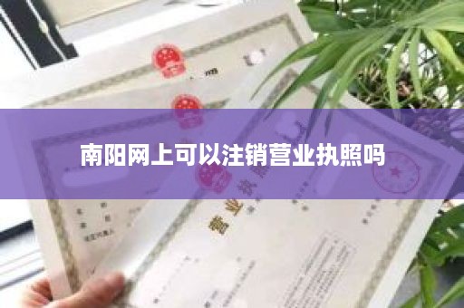 南阳网上可以注销营业执照吗