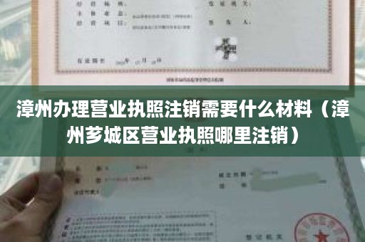 漳州办理营业执照注销需要什么材料（漳州芗城区营业执照哪里注销）