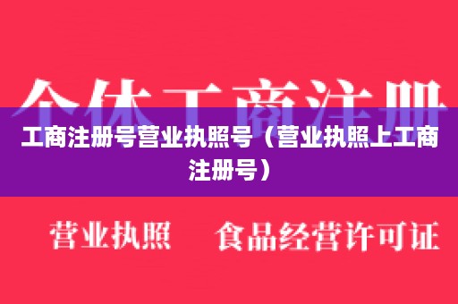 工商注册号营业执照号（营业执照上工商注册号）