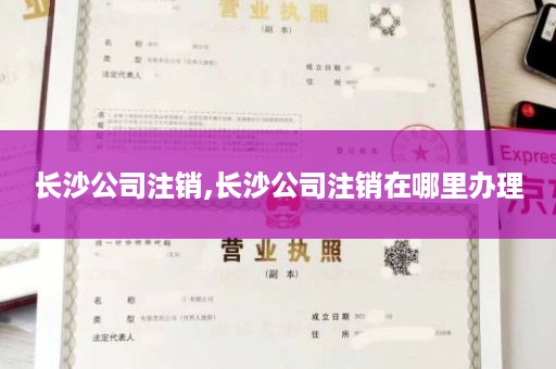 长沙公司注销,长沙公司注销在哪里办理