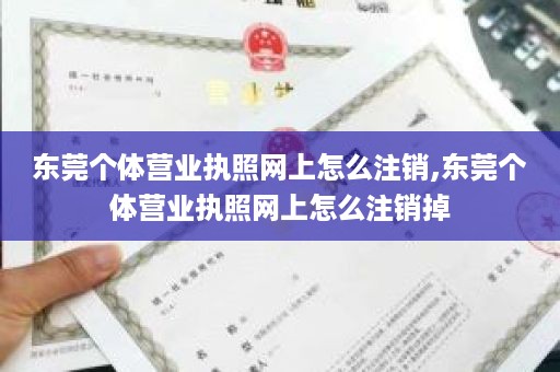 东莞个体营业执照网上怎么注销,东莞个体营业执照网上怎么注销掉