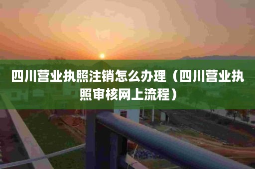 四川营业执照注销怎么办理（四川营业执照审核网上流程）