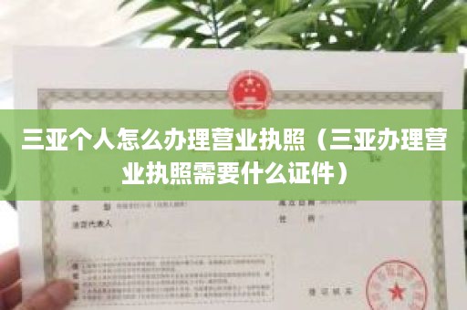 三亚个人怎么办理营业执照（三亚办理营业执照需要什么证件）