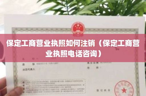 保定工商营业执照如何注销（保定工商营业执照电话咨询）