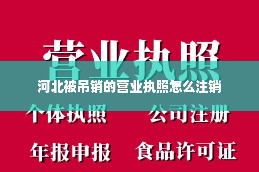 河北被吊销的营业执照怎么注销