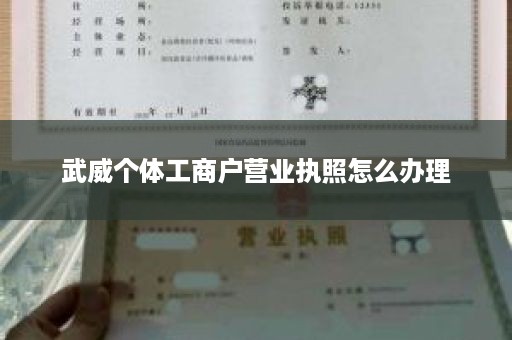 武威个体工商户营业执照怎么办理