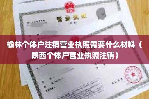 榆林个体户注销营业执照需要什么材料（陕西个体户营业执照注销）