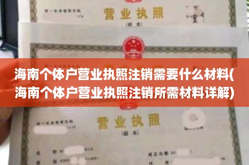 海南个体户营业执照注销需要什么材料(海南个体户营业执照注销所需材料详解)