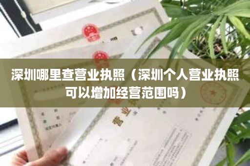 深圳哪里查营业执照（深圳个人营业执照可以增加经营范围吗）