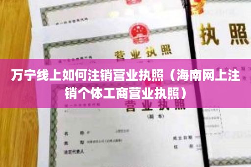 万宁线上如何注销营业执照（海南网上注销个体工商营业执照）