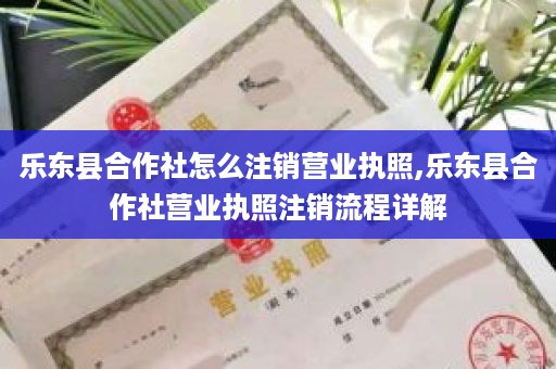 乐东县合作社怎么注销营业执照,乐东县合作社营业执照注销流程详解