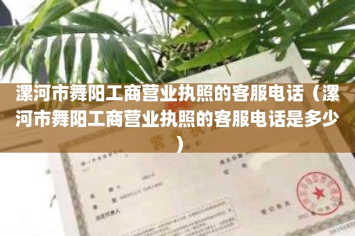 漯河市舞阳工商营业执照的客服电话（漯河市舞阳工商营业执照的客服电话是多少）